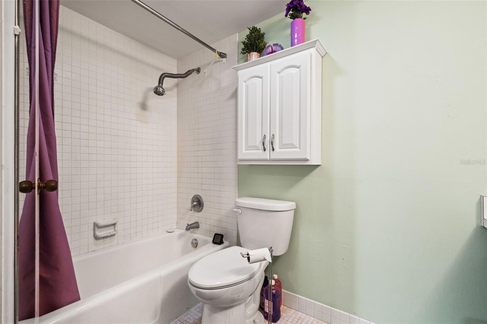 4138 PINELAKE LN #201, TAMPA, FL, 33618