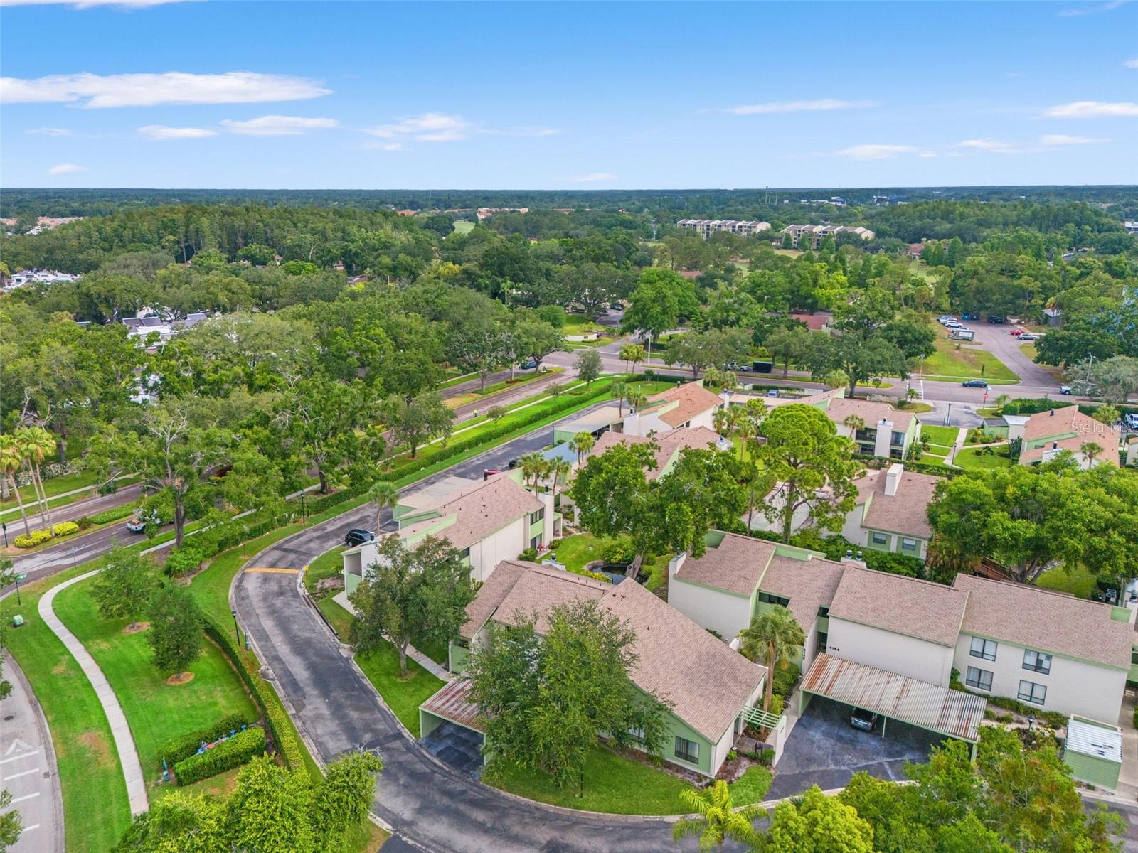 4138 PINELAKE LN #201, TAMPA, FL, 33618