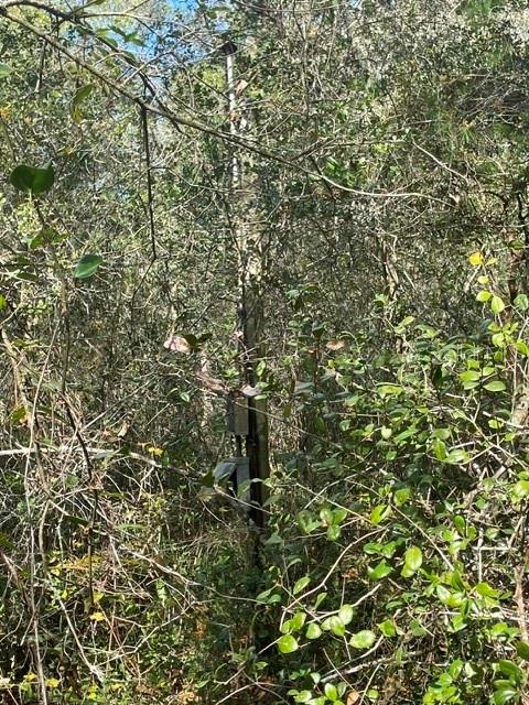 9345 SE 195TH AVE, OCKLAWAHA, FL, 32179
