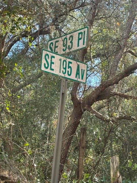 9345 SE 195TH AVE, OCKLAWAHA, FL, 32179