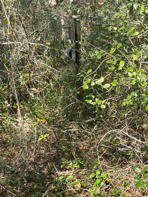 9345 SE 195TH AVE, OCKLAWAHA, FL, 32179