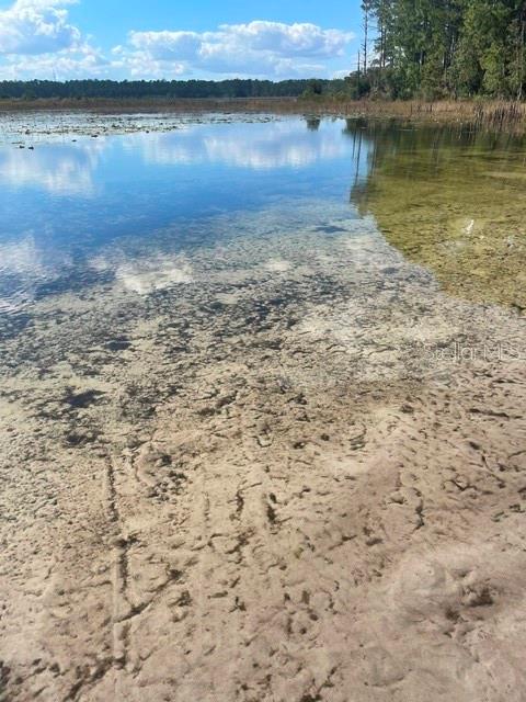 9345 SE 195TH AVE, OCKLAWAHA, FL, 32179