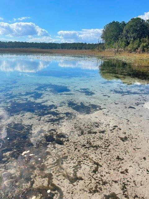 9345 SE 195TH AVE, OCKLAWAHA, FL, 32179