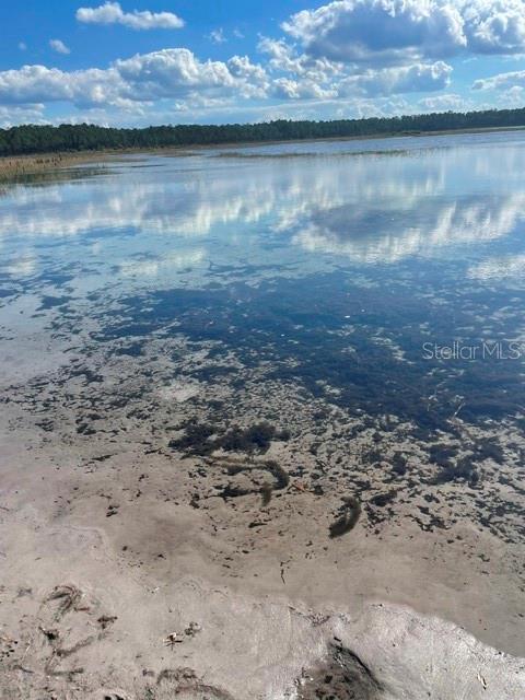 9345 SE 195TH AVE, OCKLAWAHA, FL, 32179