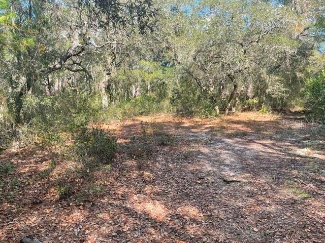 9345 SE 195TH AVE, OCKLAWAHA, FL, 32179
