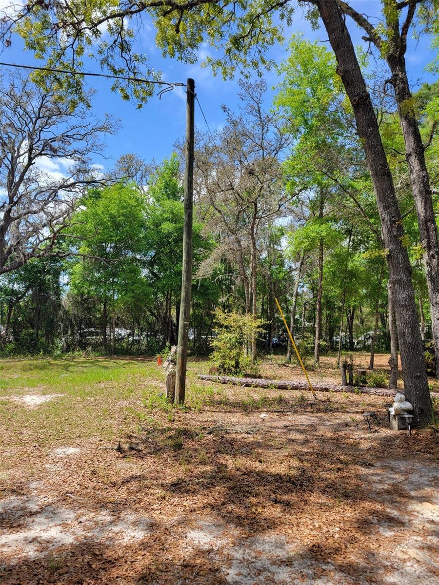 CENTRAL FLR COLLISION, BELLEVIEW, FL, 34420