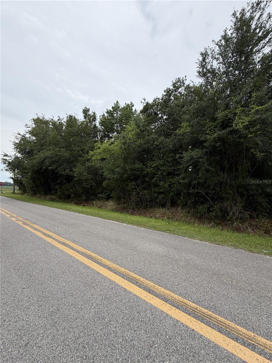 158 E CRACKER SWAMP RD, EAST PALATKA, FL, 32131