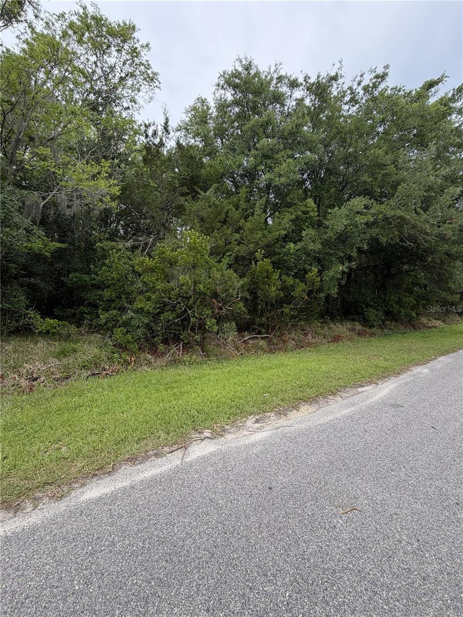 158 E CRACKER SWAMP RD, EAST PALATKA, FL, 32131