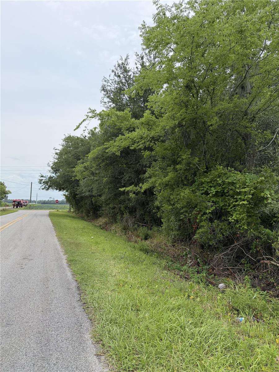158 E CRACKER SWAMP RD, EAST PALATKA, FL, 32131