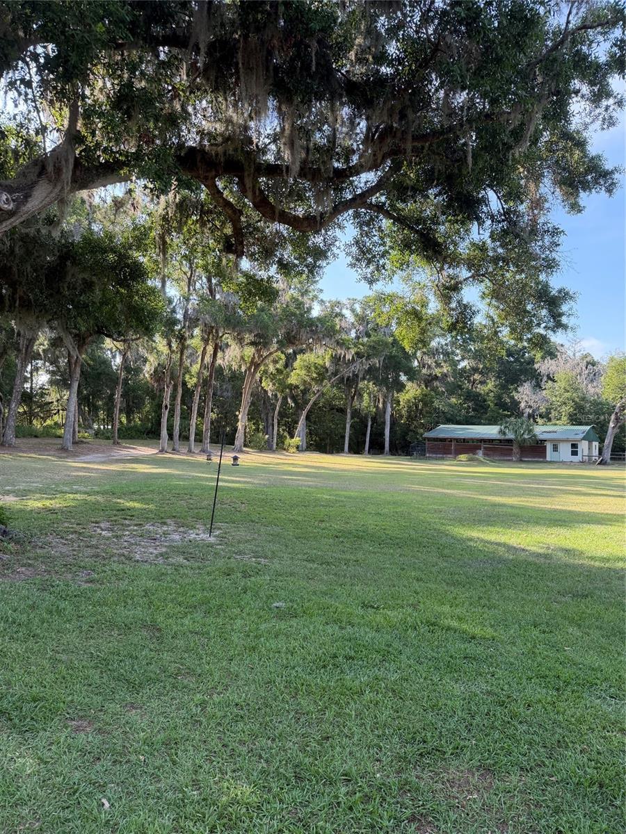 13551 NE 14TH AVE, CITRA, FL, 32113