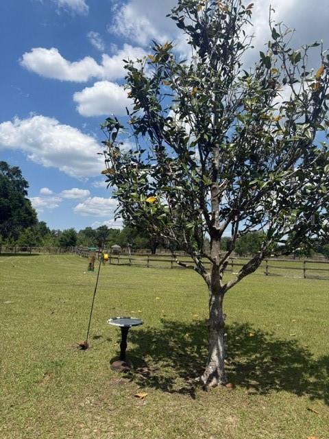 13551 NE 14TH AVE, CITRA, FL, 32113