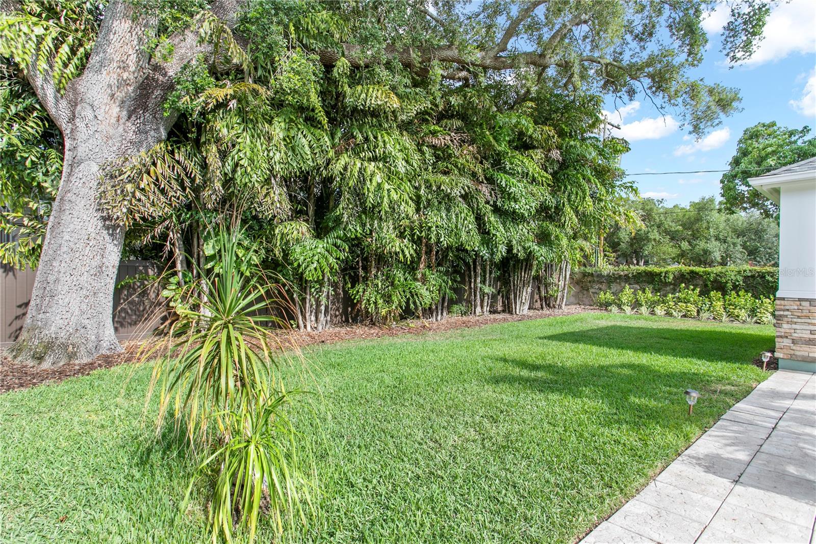 3126 W OAKLYN AVE, TAMPA, FL, 33609