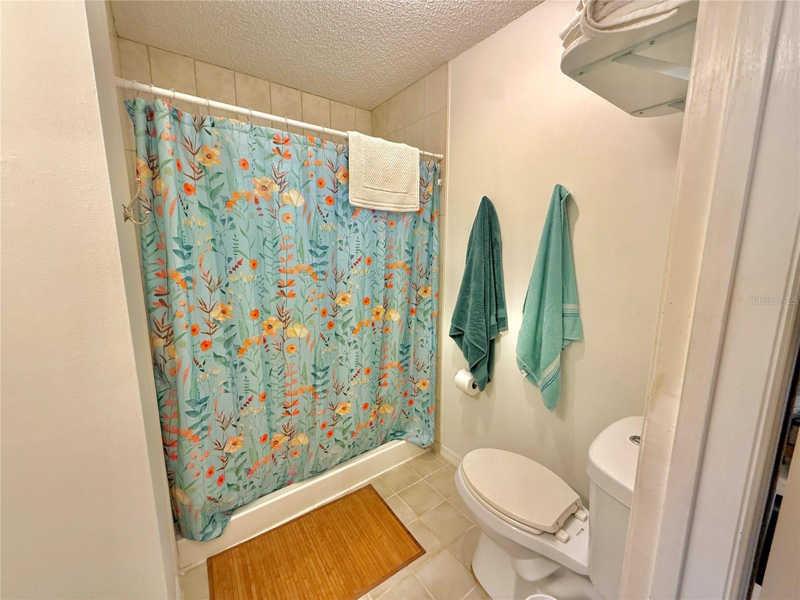 2023 S FLAGLER AVE, FLAGLER BEACH, FL, 32136