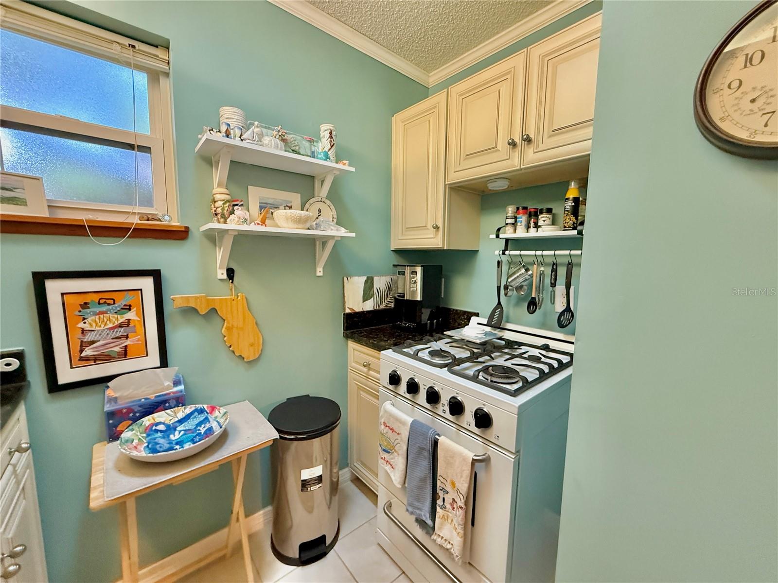 2023 S FLAGLER AVE, FLAGLER BEACH, FL, 32136
