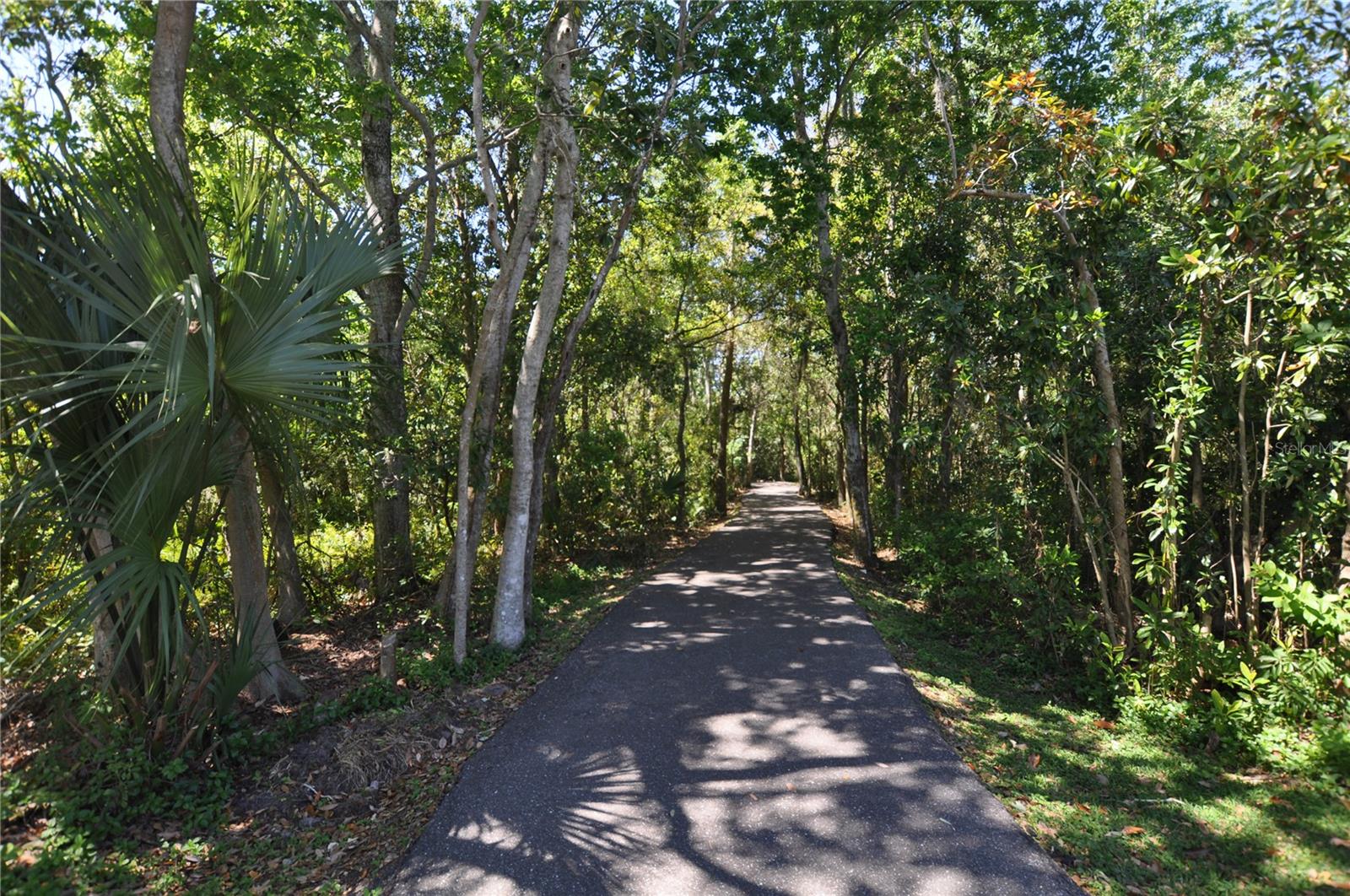 2739 HORSESHOE DR, PLANT CITY, FL, 33566