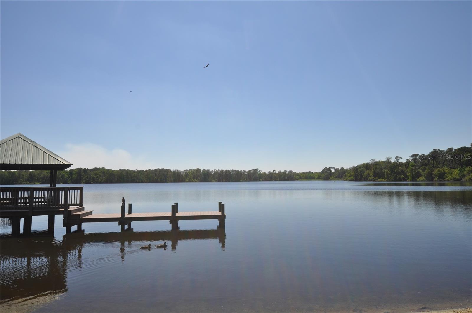 2739 HORSESHOE DR, PLANT CITY, FL, 33566