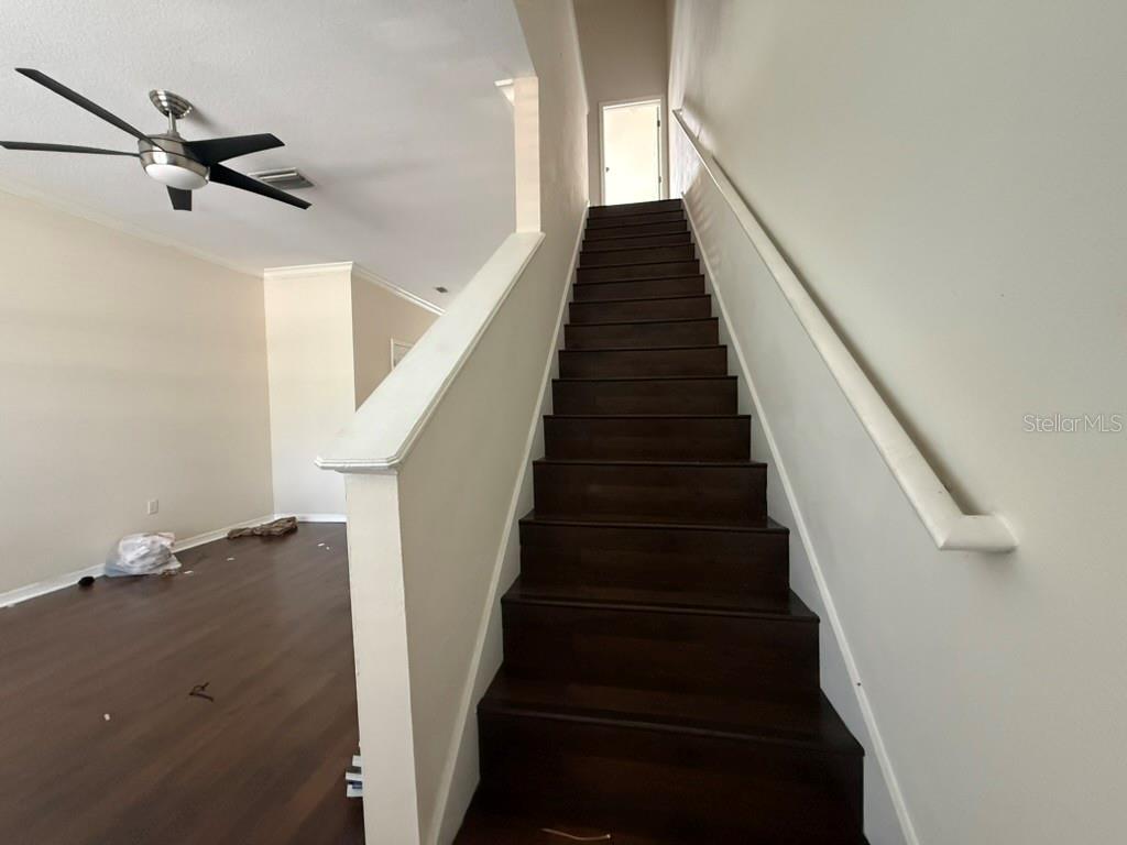 11537 DECLARATION DR, TAMPA, FL, 33635