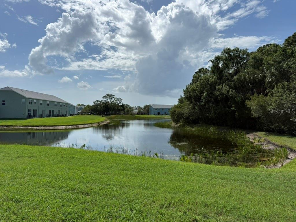 11537 DECLARATION DR, TAMPA, FL, 33635