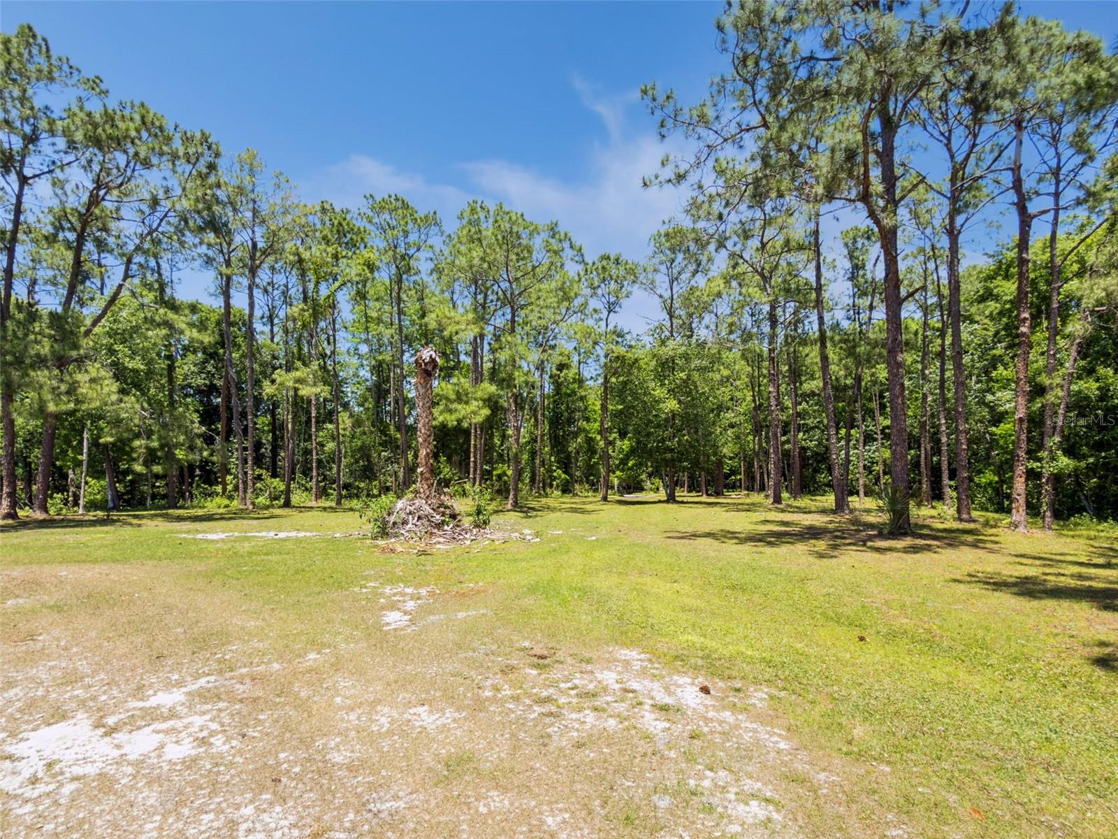 BLUE JAY WAY, DAVENPORT, FL, 33896