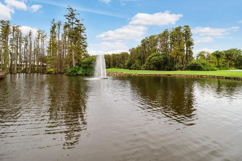 30303 LAURELWOOD LN, WESLEY CHAPEL, FL, 33543