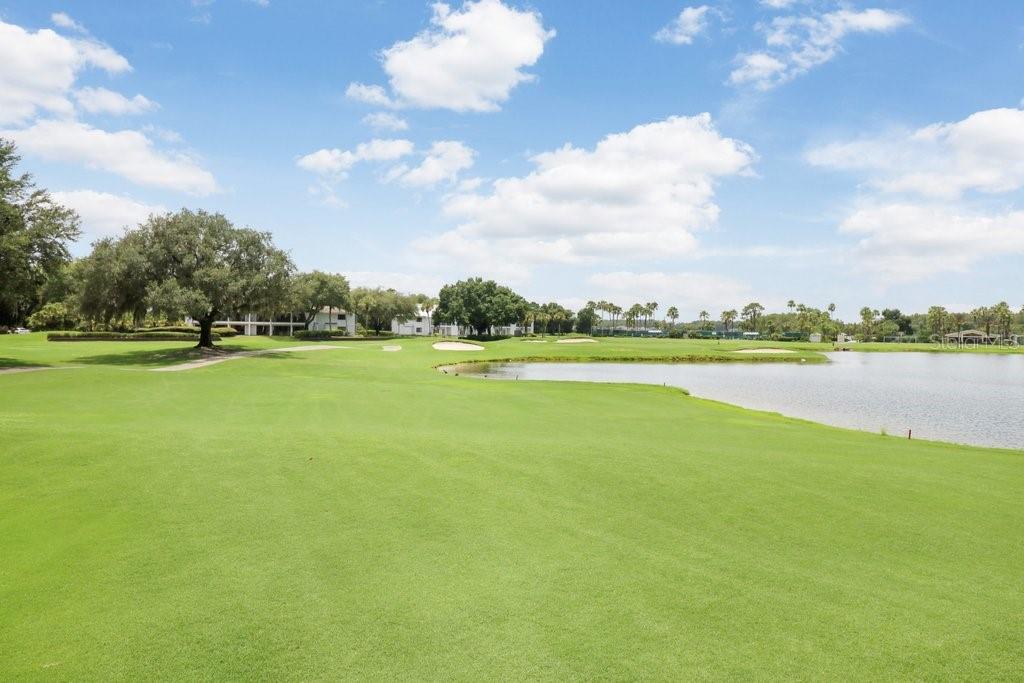 30303 LAURELWOOD LN, WESLEY CHAPEL, FL, 33543