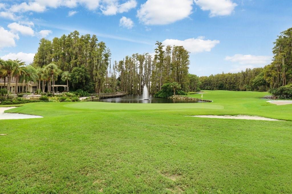 30303 LAURELWOOD LN, WESLEY CHAPEL, FL, 33543
