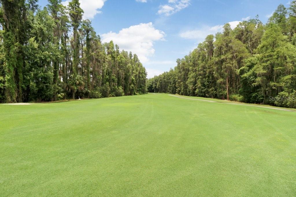 30303 LAURELWOOD LN, WESLEY CHAPEL, FL, 33543