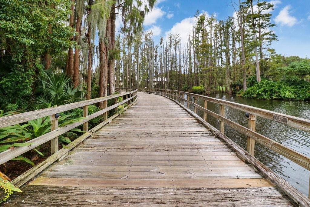 30303 LAURELWOOD LN, WESLEY CHAPEL, FL, 33543