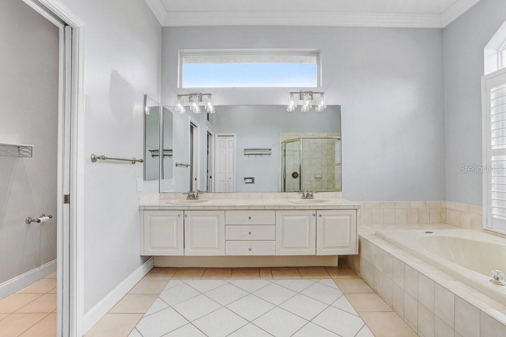 30303 LAURELWOOD LN, WESLEY CHAPEL, FL, 33543