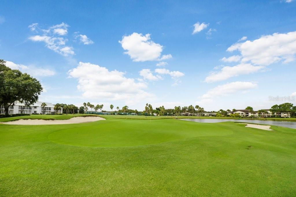 30303 LAURELWOOD LN, WESLEY CHAPEL, FL, 33543