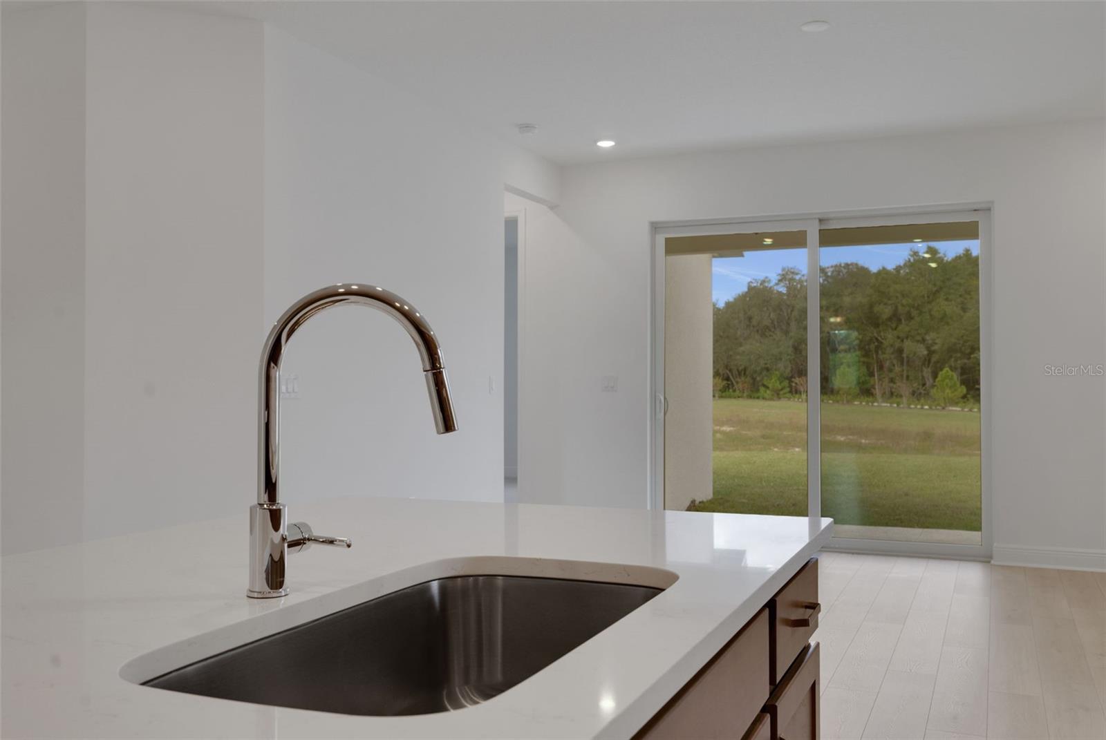 748 SUNSHOWER DR, LADY LAKE, FL, 32159