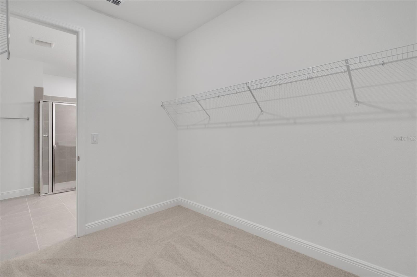748 SUNSHOWER DR, LADY LAKE, FL, 32159