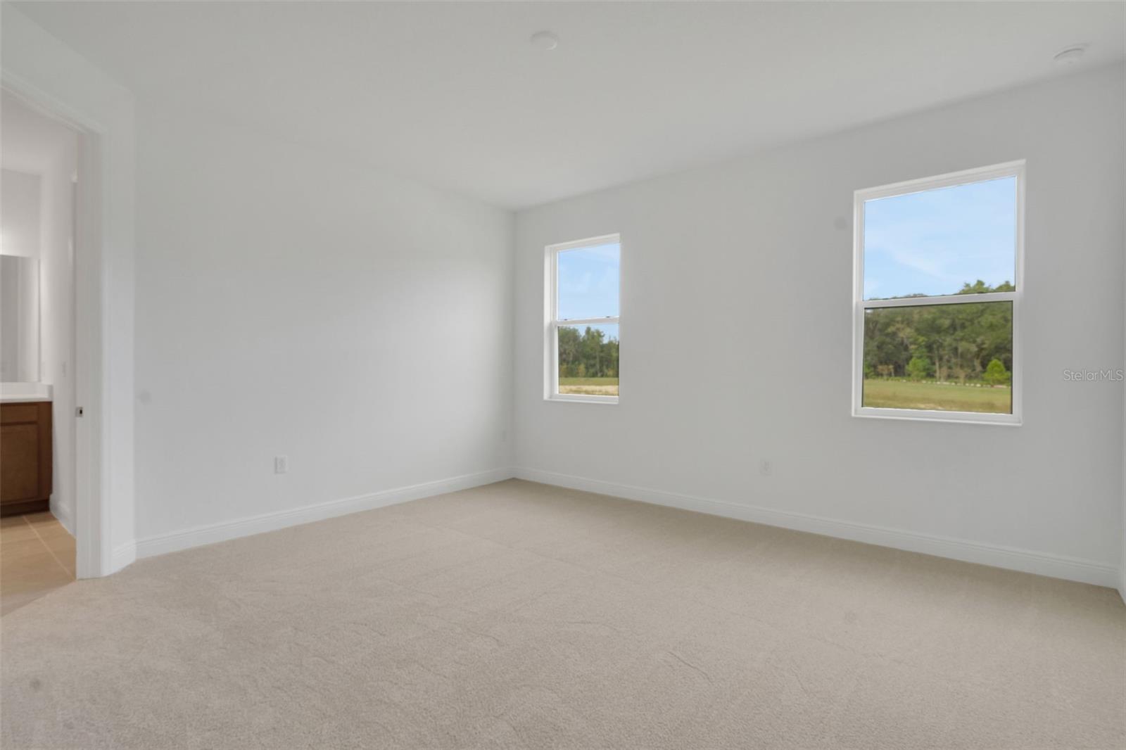 748 SUNSHOWER DR, LADY LAKE, FL, 32159