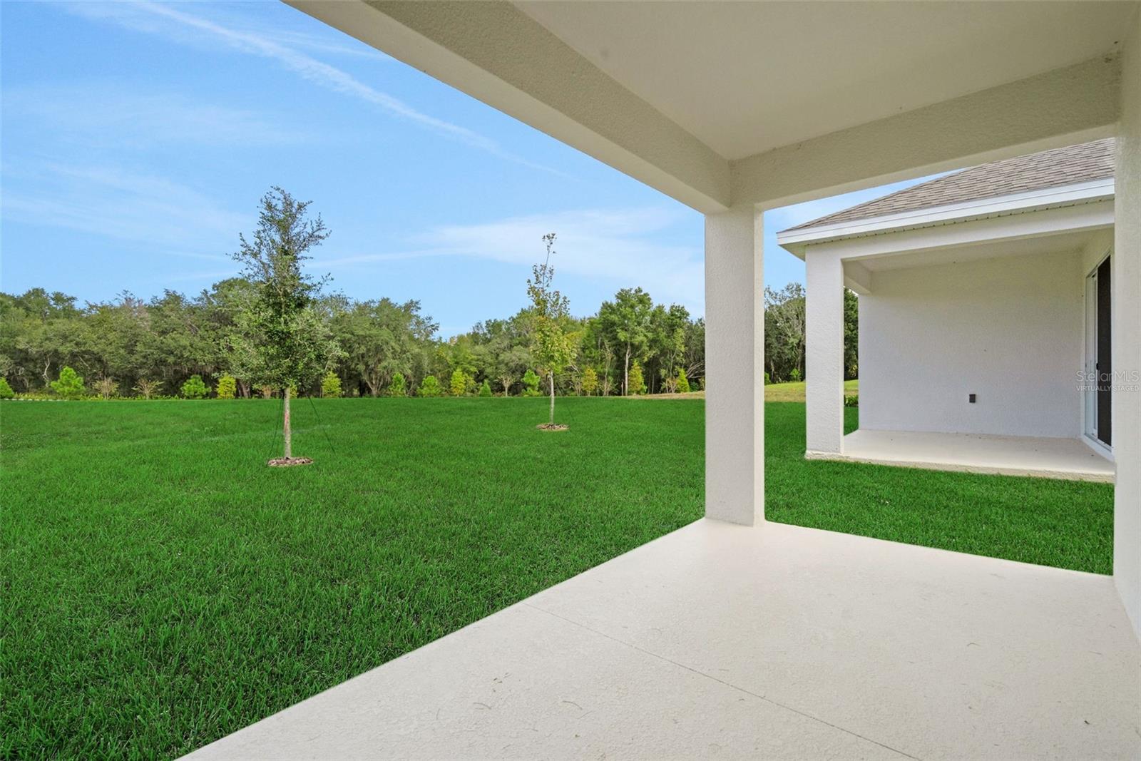 748 SUNSHOWER DR, LADY LAKE, FL, 32159