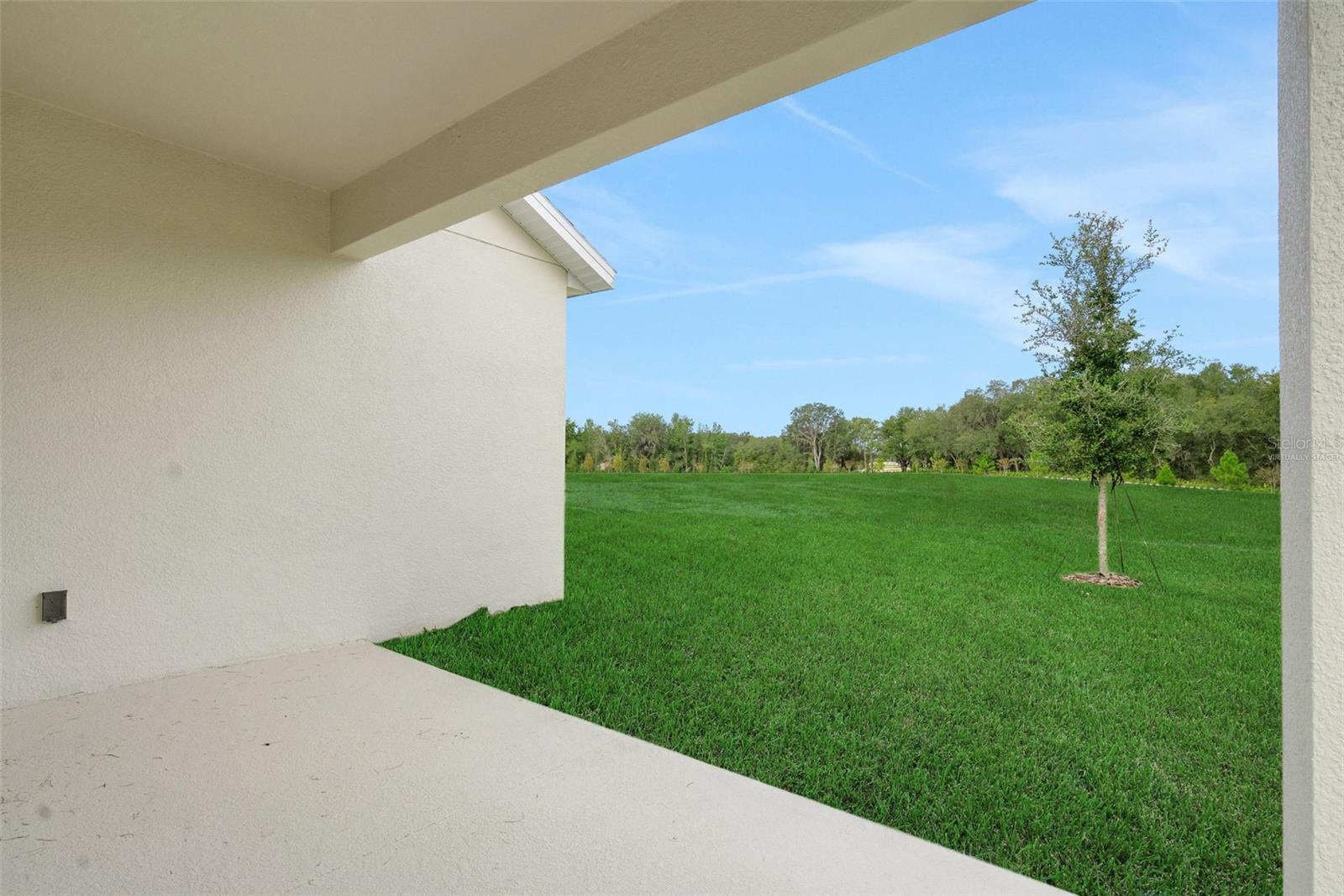 748 SUNSHOWER DR, LADY LAKE, FL, 32159