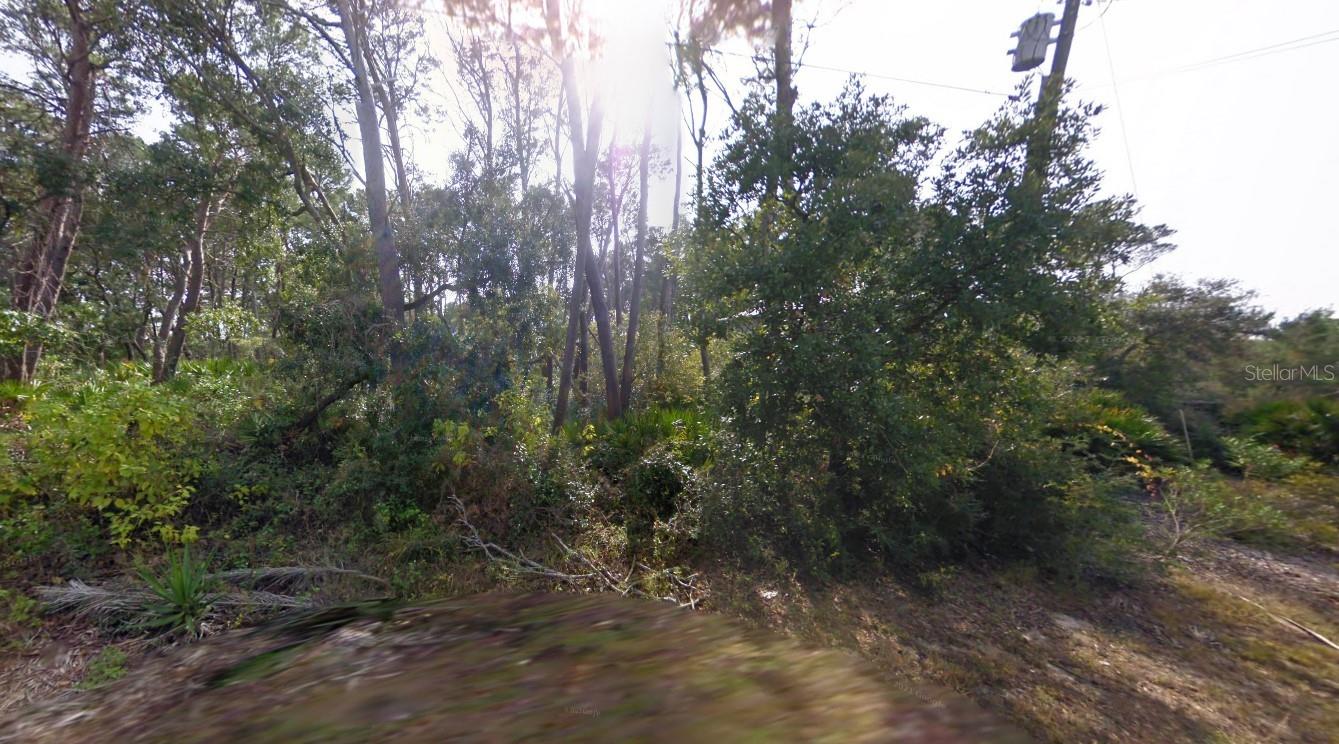 16800 ANNA ST, CEDAR KEY, FL, 32625