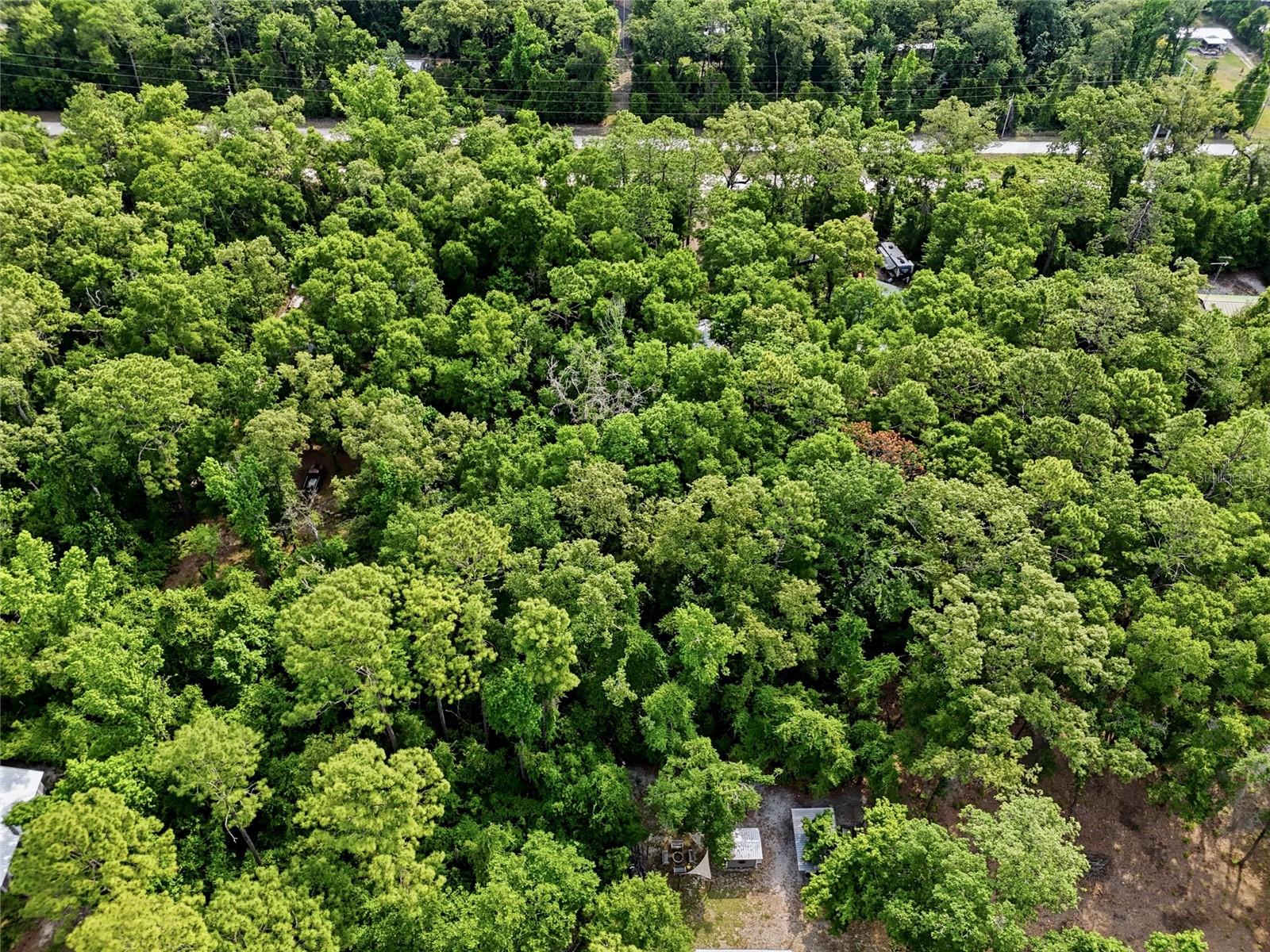 264 SW CENTRAL TER, FORT WHITE, FL, 32038