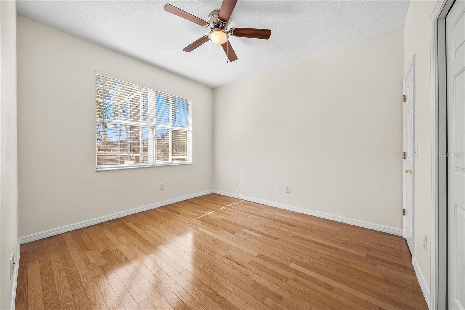 27338 HOLLYBROOK TRL, WESLEY CHAPEL, FL, 33544