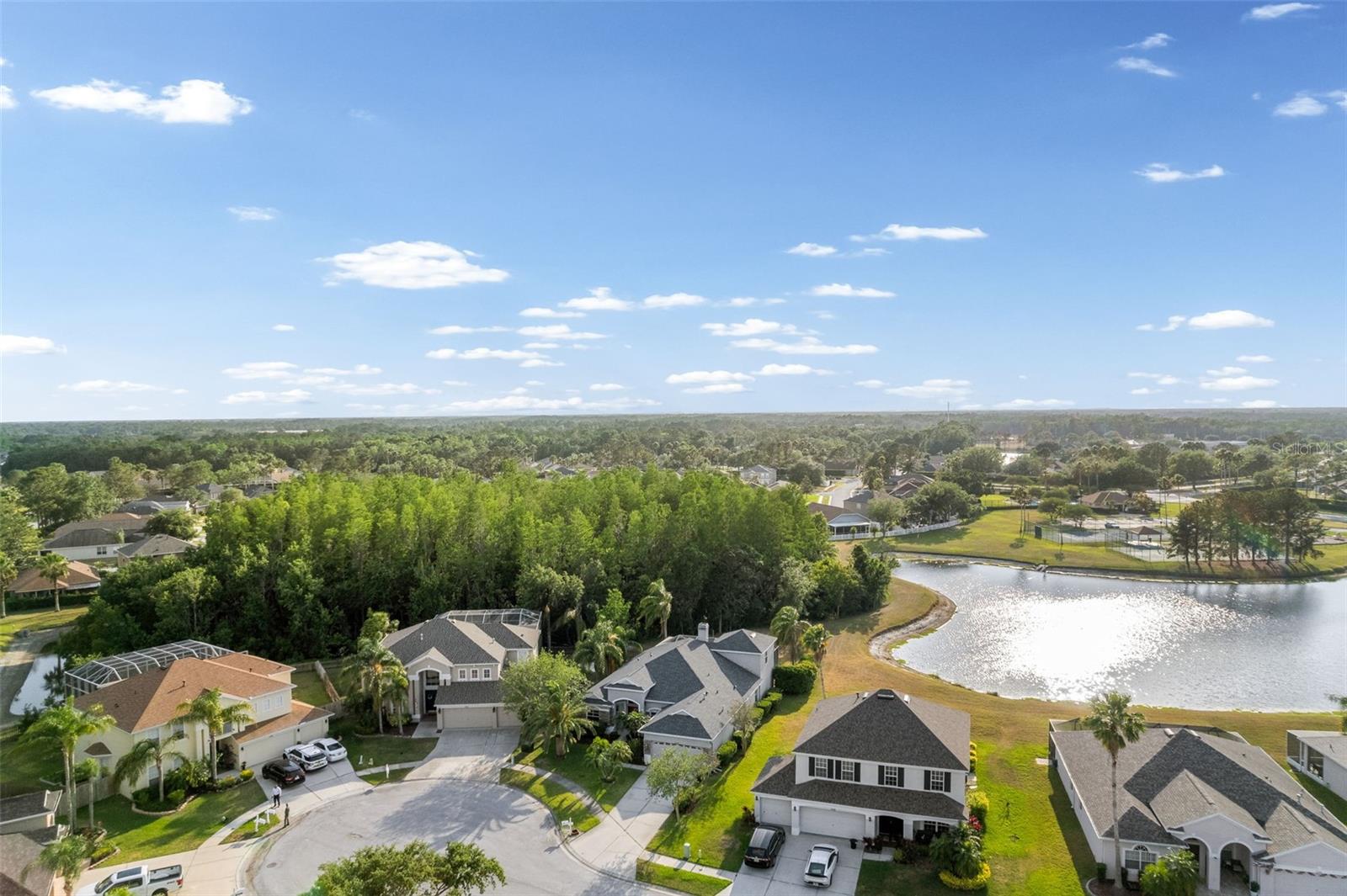 27338 HOLLYBROOK TRL, WESLEY CHAPEL, FL, 33544