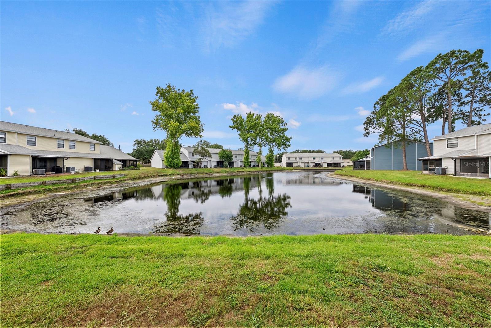 5314 ABINGER CT, TAMPA, FL, 33624