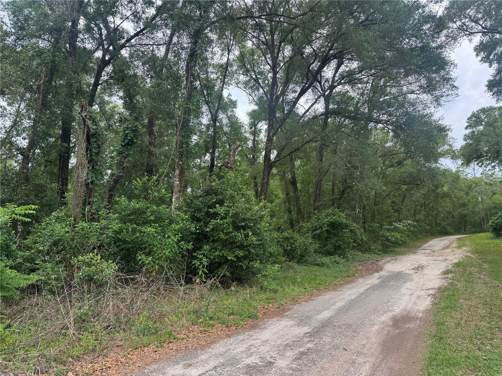 3638 E LEE DR, INVERNESS, FL, 34453