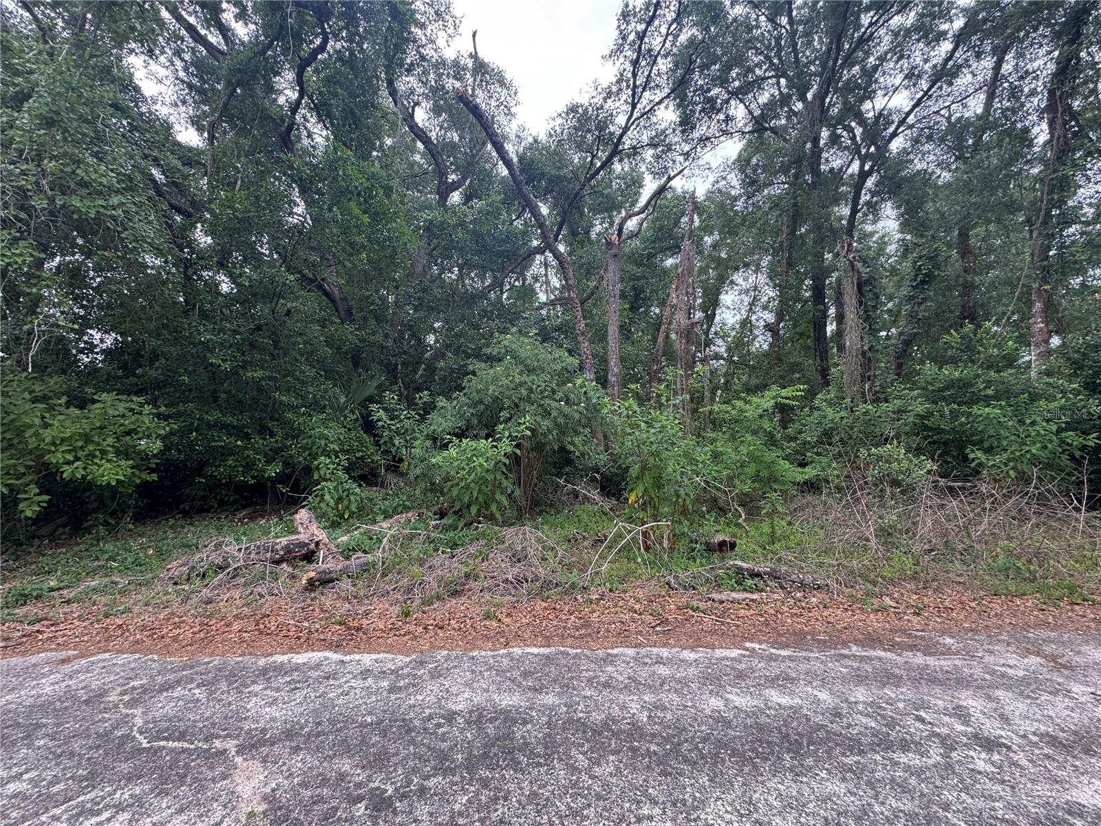 3638 E LEE DR, INVERNESS, FL, 34453