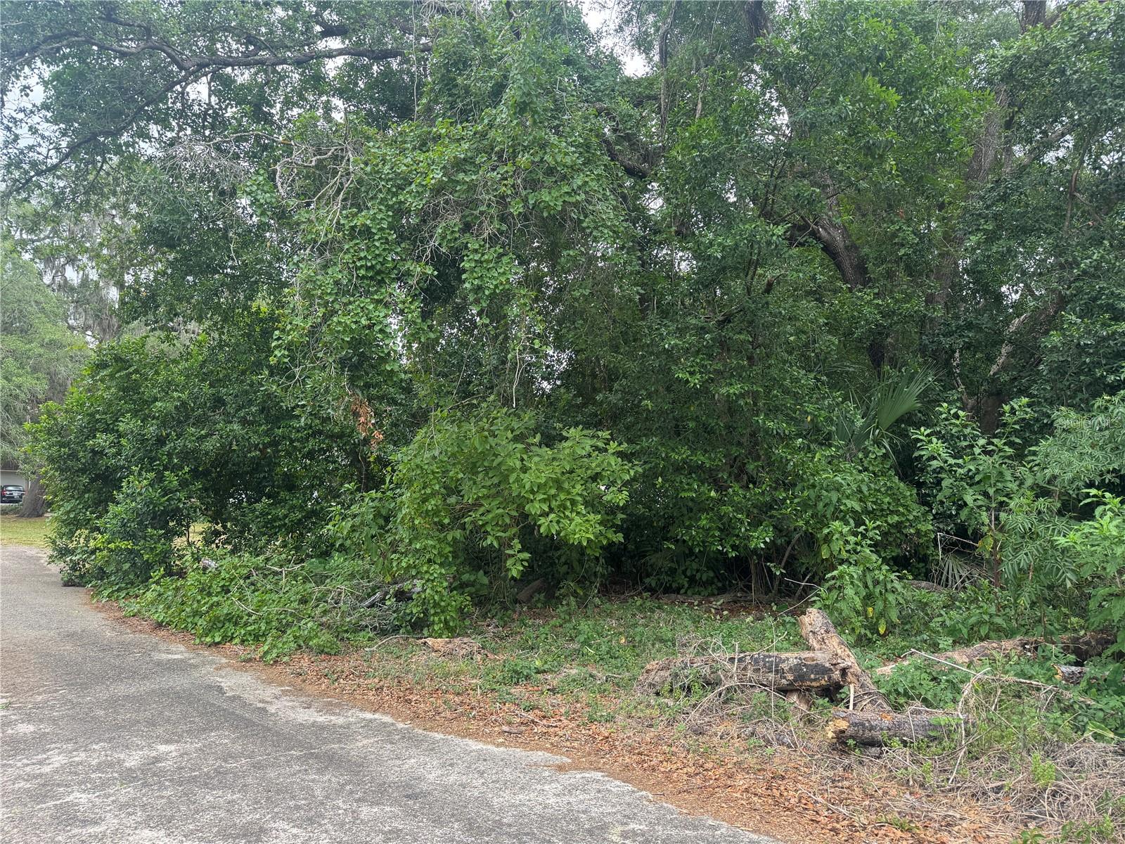 3638 E LEE DR, INVERNESS, FL, 34453