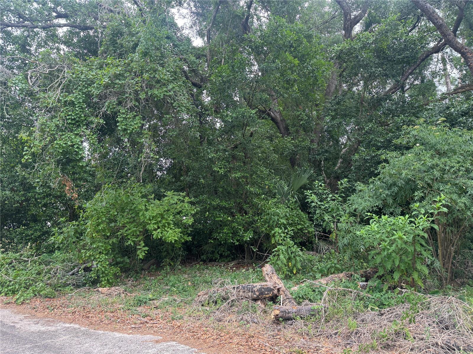 3638 E LEE DR, INVERNESS, FL, 34453