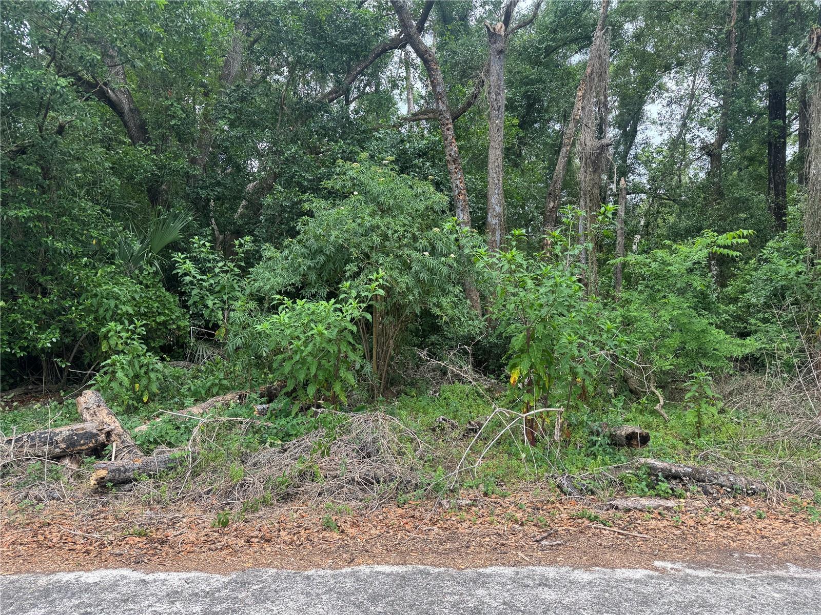3638 E LEE DR, INVERNESS, FL, 34453
