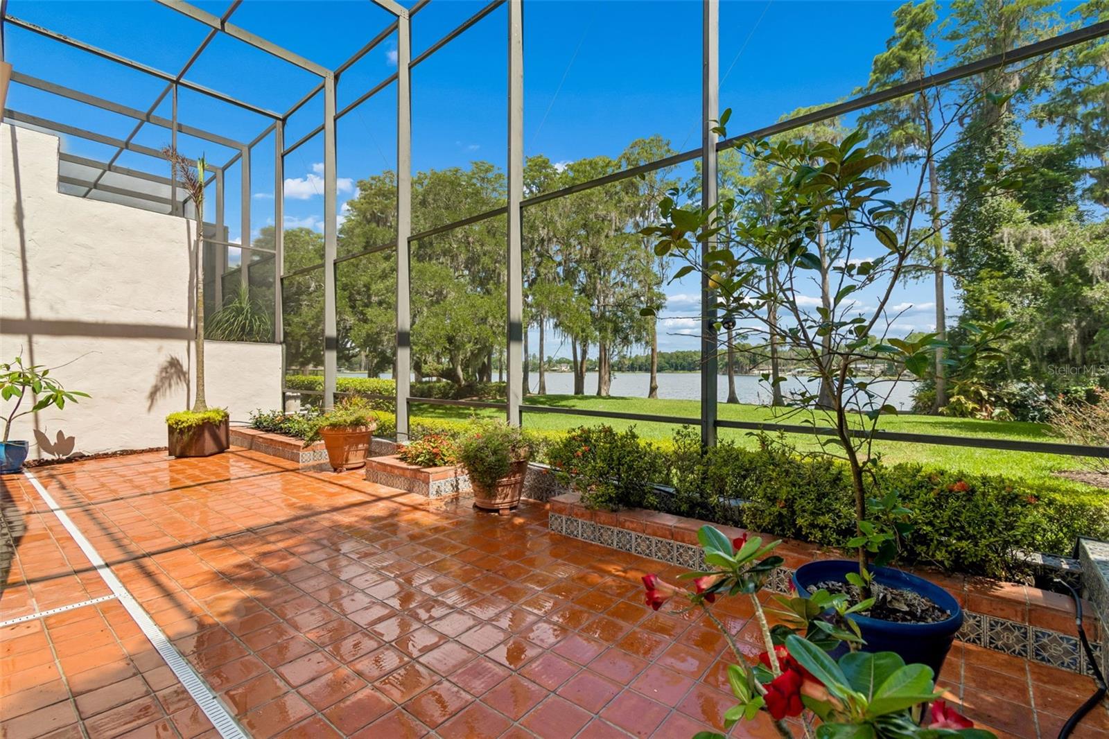 3133 LAKE ELLEN DR #3133, TAMPA, FL, 33618