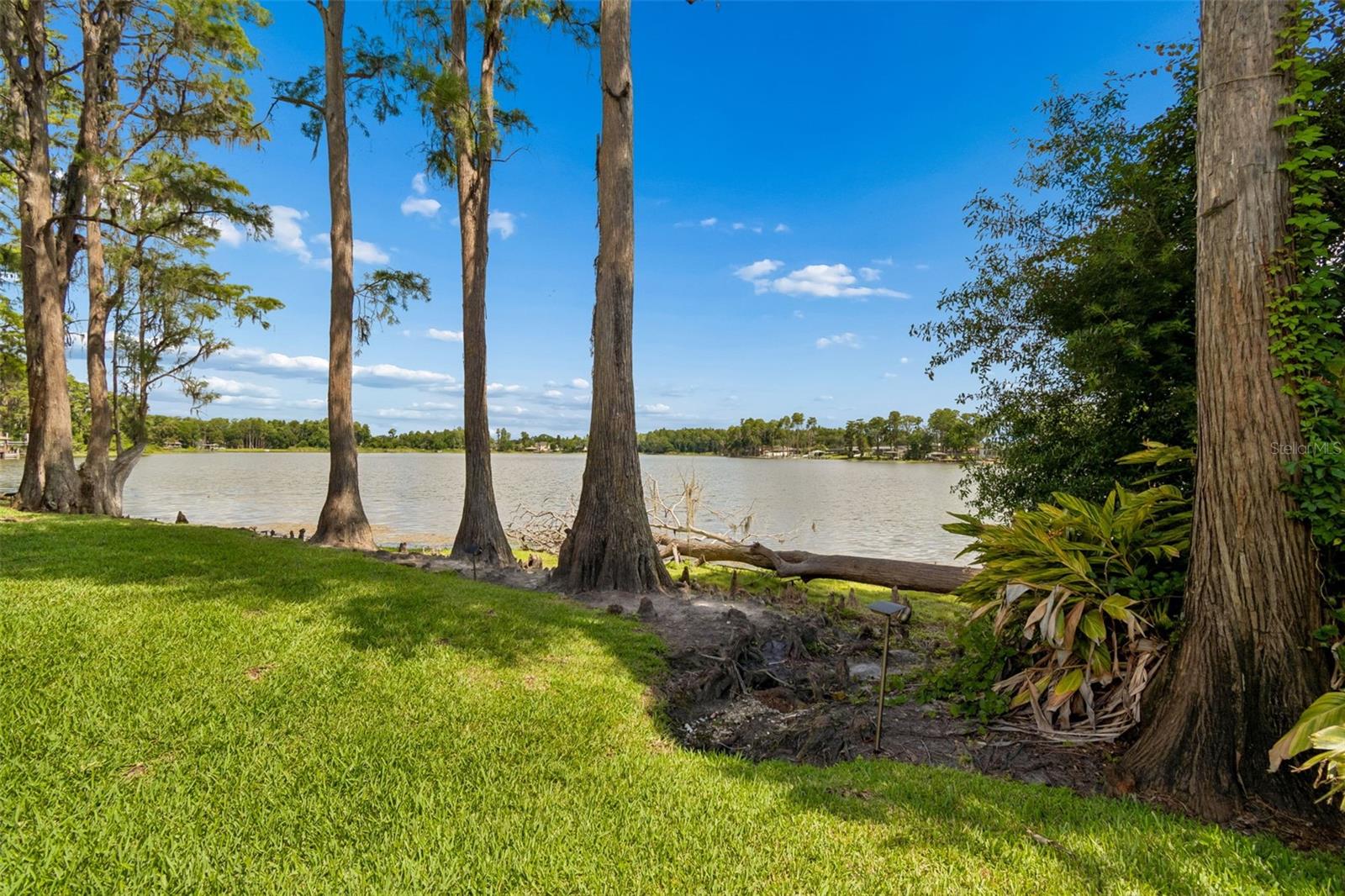 3133 LAKE ELLEN DR #3133, TAMPA, FL, 33618