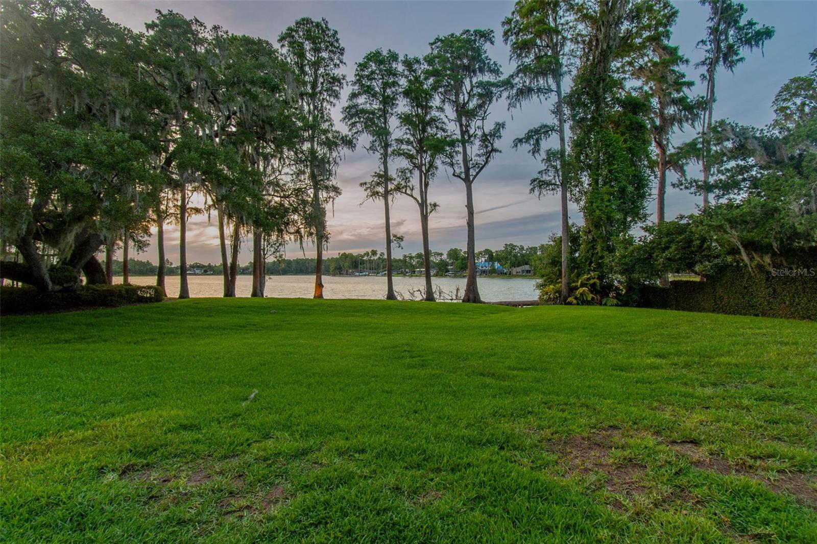 3133 LAKE ELLEN DR #3133, TAMPA, FL, 33618