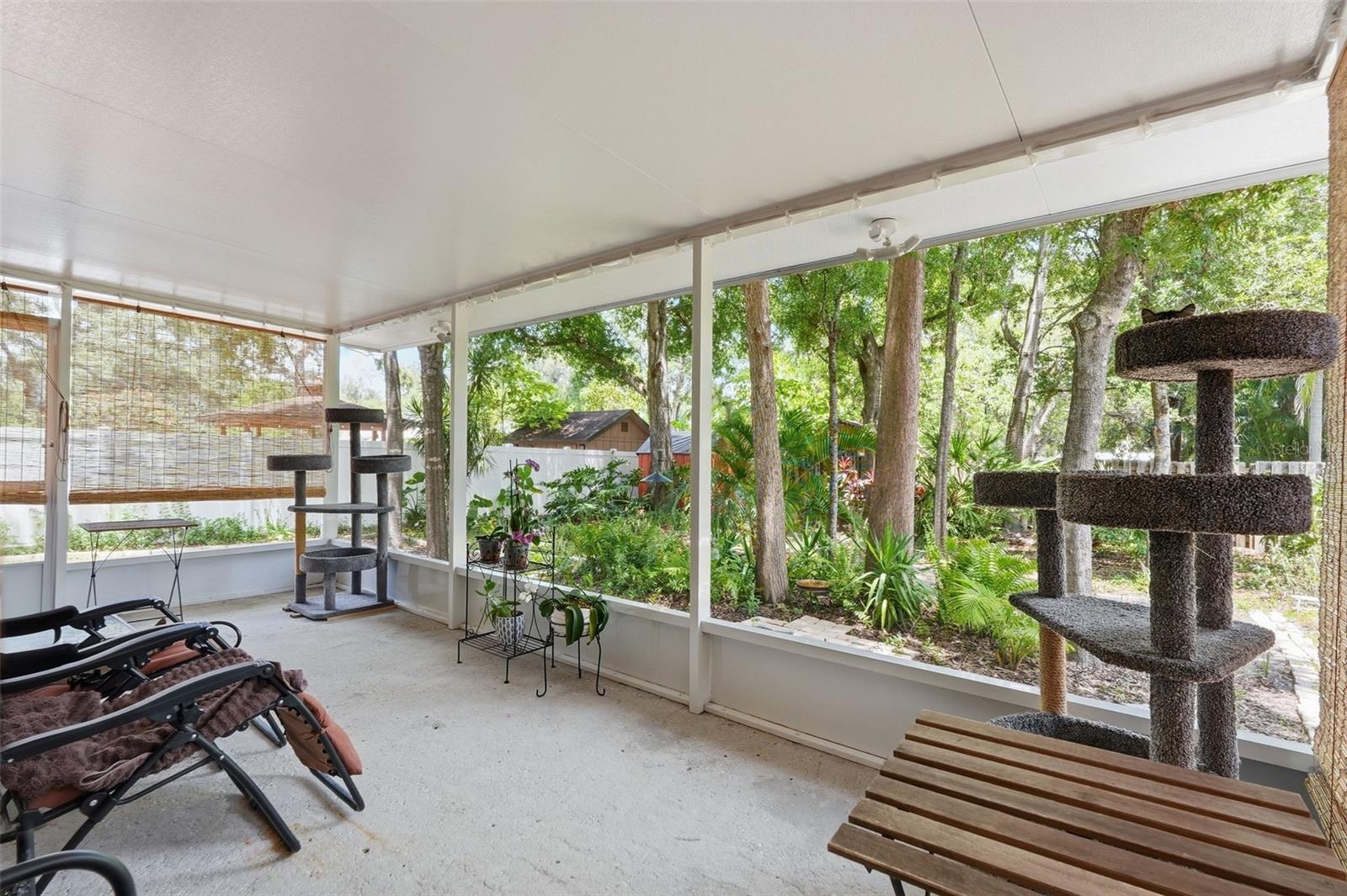 1785 ALBEMARLE RD, CLEARWATER, FL, 33764