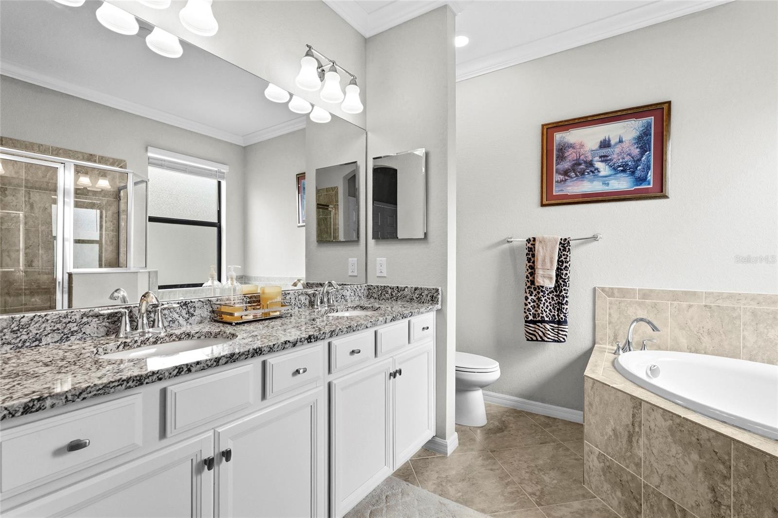 12055 AMICA LOOP, VENICE, FL, 34293